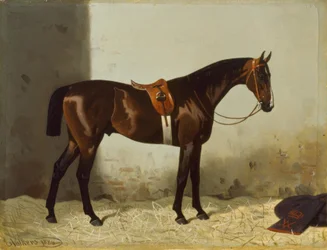 Brauner ve stáji